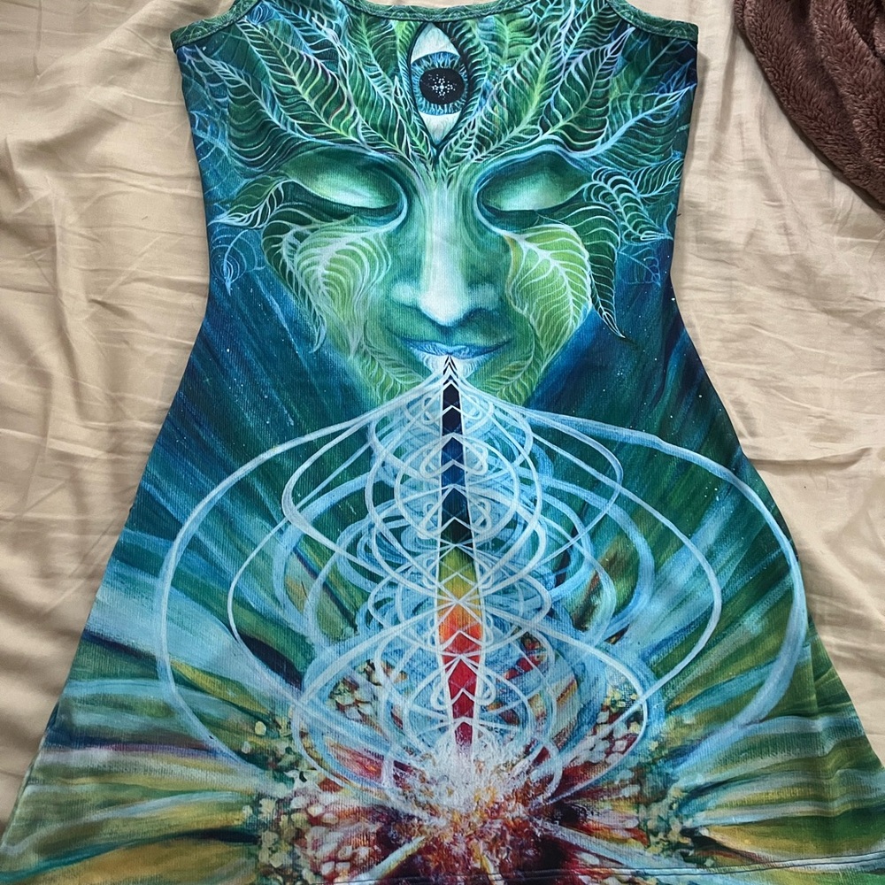 Vison lab dress